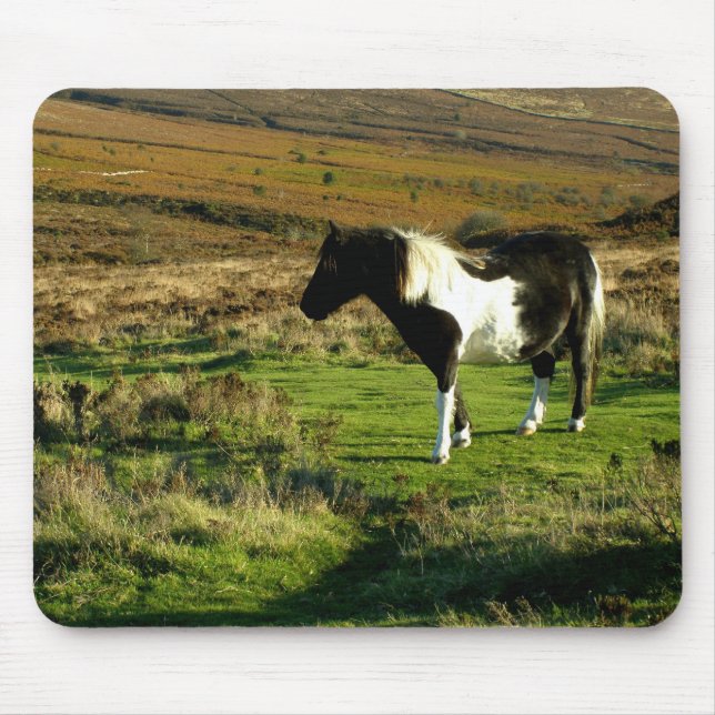 Pony på Dartmoor Musmatta (Framsidan)