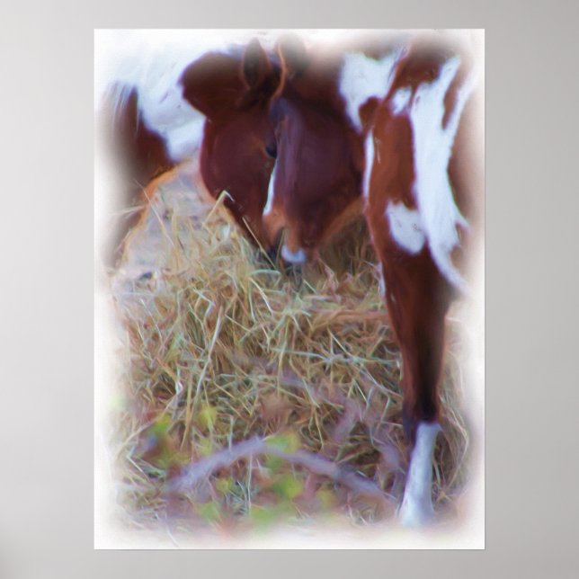 Pony Poster (Framsidan)