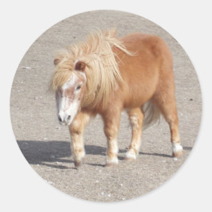 Pony Stickers Runt Klistermärke