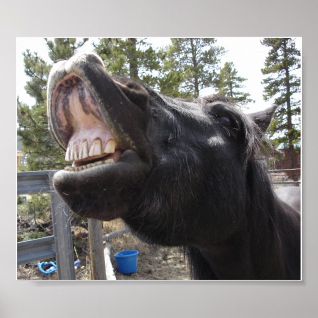 Pony Talk Poster (Framsidan)