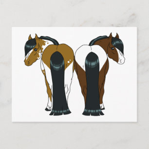 Pony-vykort Vykort