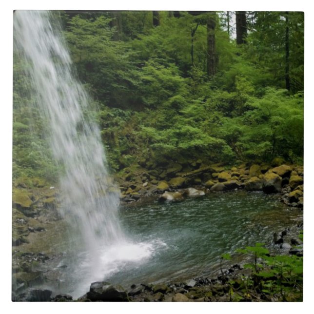 Ponytail Falls, ELLER Kakelplatta (Framsidan)