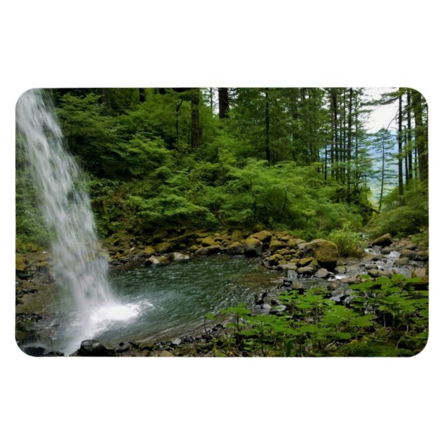 Ponytail Falls, Oregon Magnet (Horisontell)