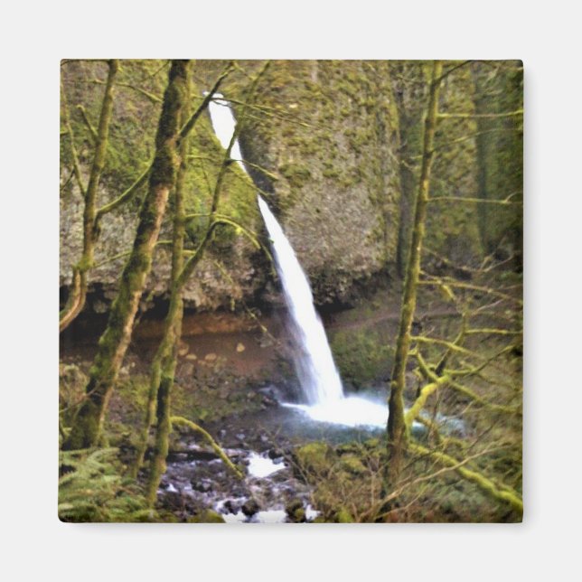 Ponytail Falls, Oregon Magnet (Framsidan)