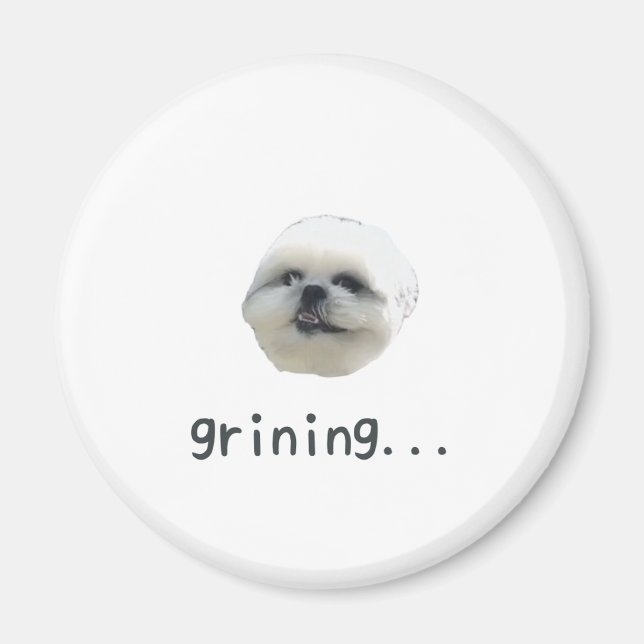 PONZU magnet (Framsidan)