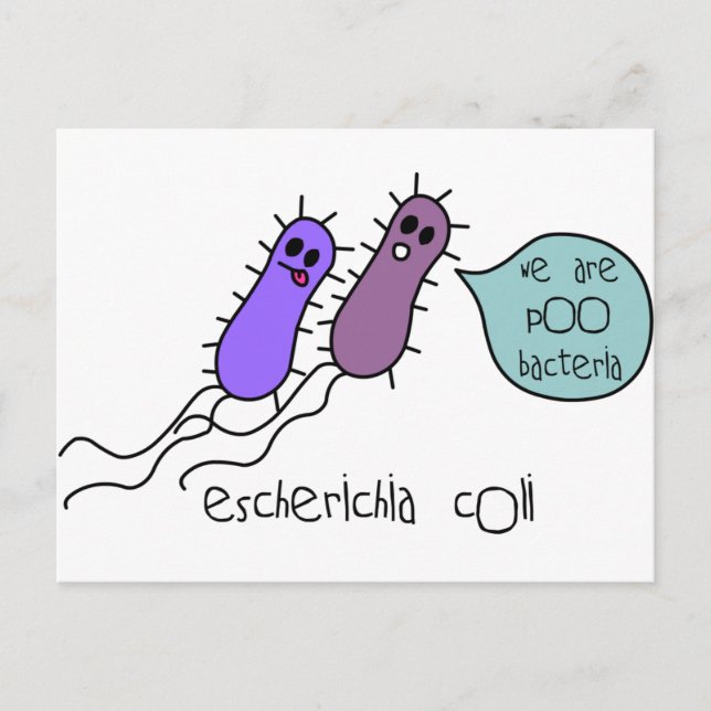 Poo Bacteria Vykort (Framsida)