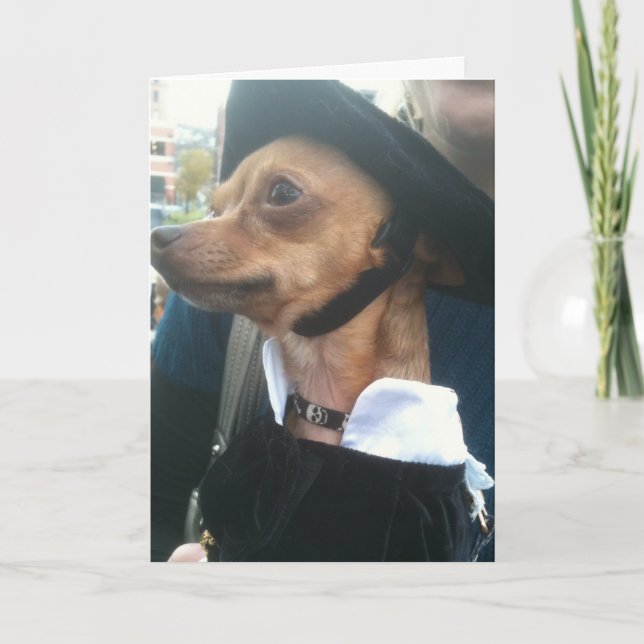 POOCH BEGS PARDON-BELATED BIRTHDAY KORT (Framsida)