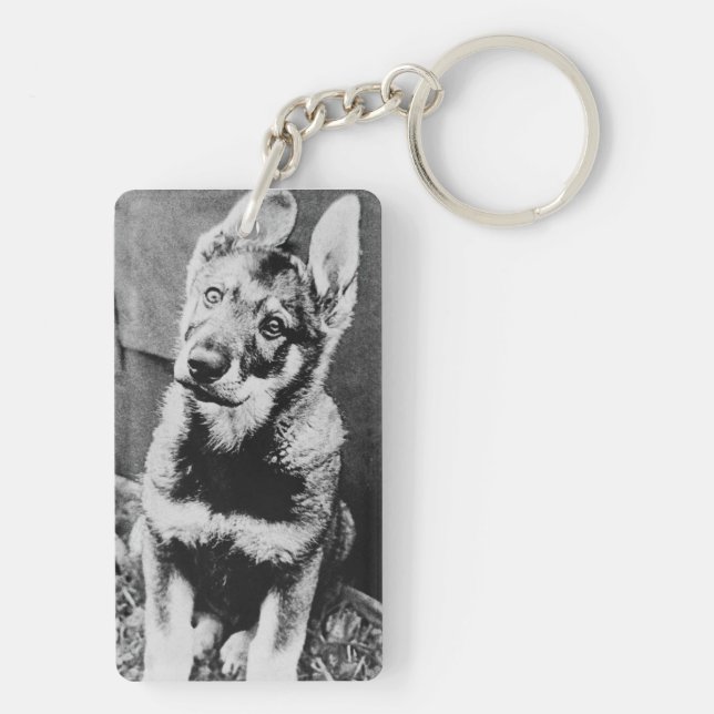 Pooch hund (Baksidan)