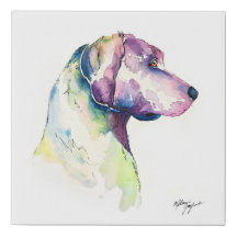 Pooch-profil