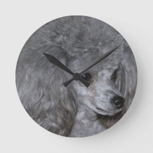 poodle-9.jpg rund klocka