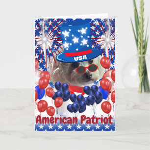 Poodle amerikansk patriot gratulationskort kort