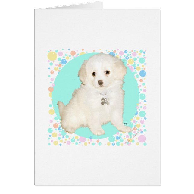 Poodle / Bichon Mix Valp Firar Livet Hälsningskort (Framsidan)
