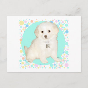 Poodle / Bichon Mix Valp Firar Livet Vykort