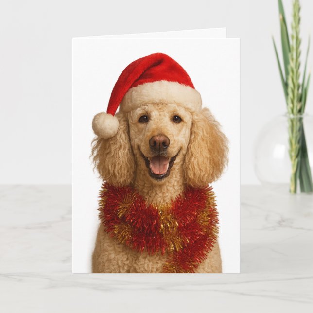 Poodle Christmas card Kort (Framsida)