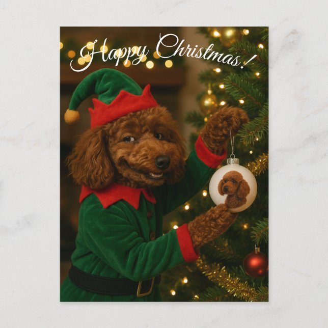 Poodle Christmas postcard Helg Vykort (Framsida)