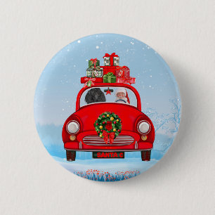Poodle Dog In Car With Santa Claus Knapp