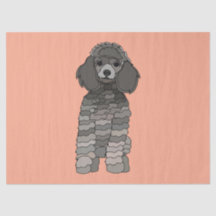 Poodle Dog Pet