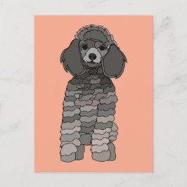 Poodle Dog Pet Vykort