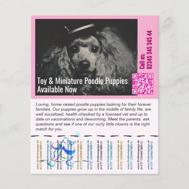 Poodle-flyer Flygblad (Framsidan)