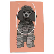Poodle Hund Husdjur