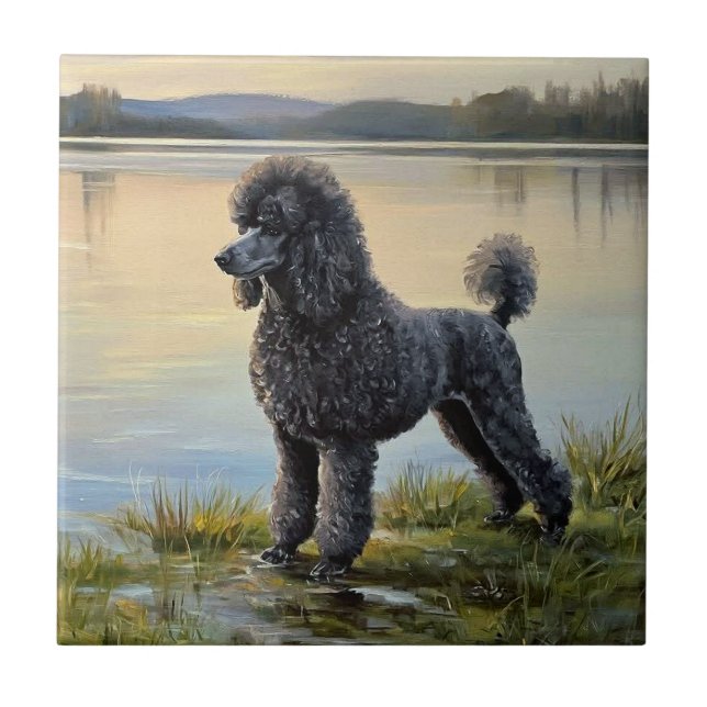 Poodle Kakelplatta (Framsidan)
