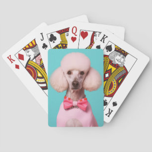 Poodle Pop Art – Elegant & Retro Casinokort