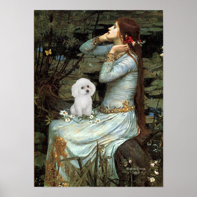 Poodle (vit leksak) - Ophelia sittande Poster (Framsidan)