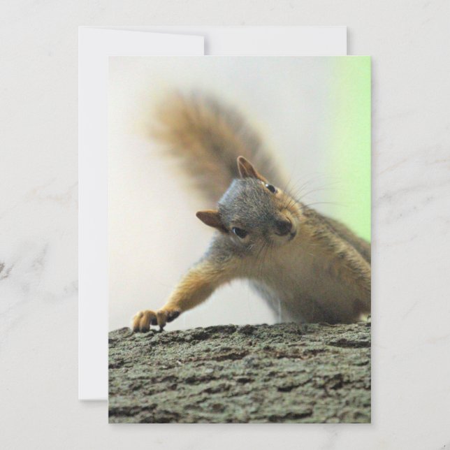 Poof Inbjudningar (Framsida)