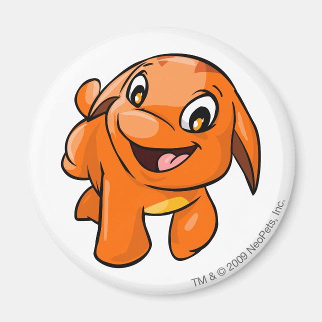 Poogle-Orange Magnet (Framsidan)