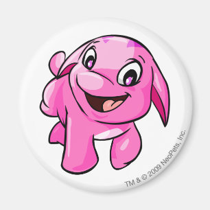 Poogle rosor magnet