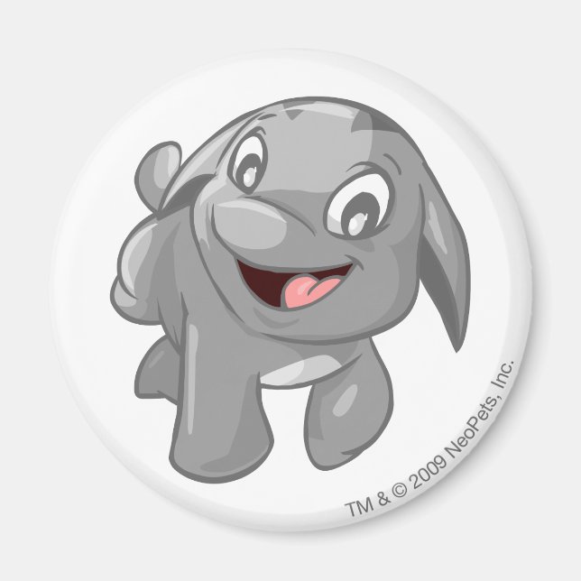 Poogle Silver Magnet (Framsidan)