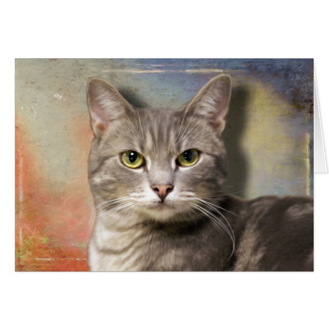 Pookie-Grått-katt Hälsningskort (Framsidan Horizontal)
