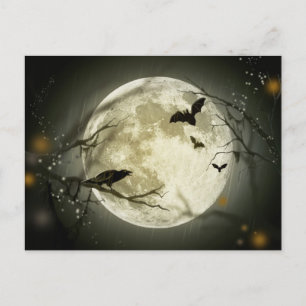 pookisk halloween-vykort vykort