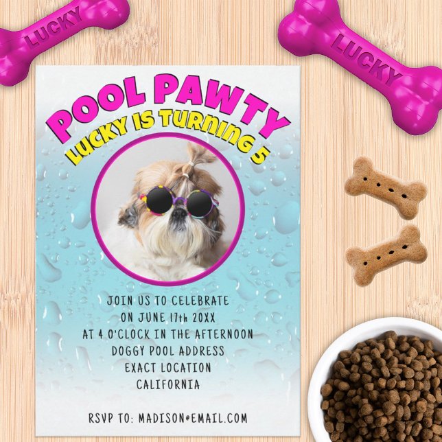 Pool fest firre hund anpassad fotobursdagskalas inbjudningar (Skapare uppladdad)