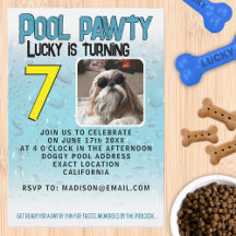 Pool fest puppy hund anpassad fotobursdagsfest