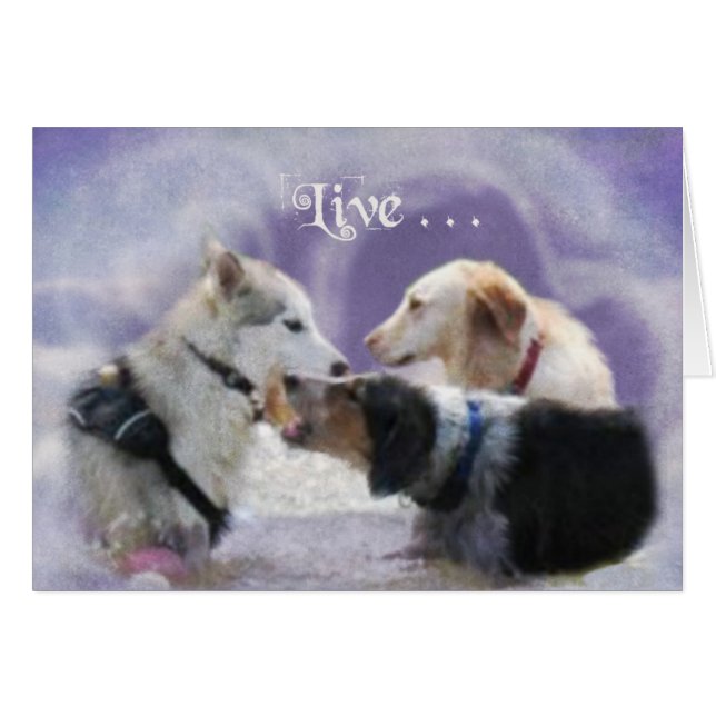 PoolParty Hälsningskort (Framsidan Horizontal)