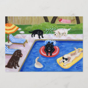 Poolparty Labradorer Sommarfest Inbjudningar