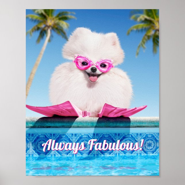 Poolside-Hund i Vänder Poster (Framsidan)