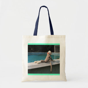 Poolsidetoto Tygkasse