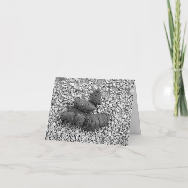 poop 001 kort (Framsida)