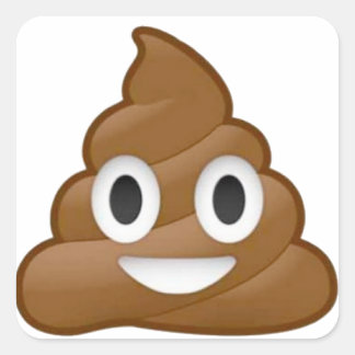 Poop emoji fyrkantigt klistermärke
