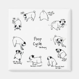Poopen cyklar magnet