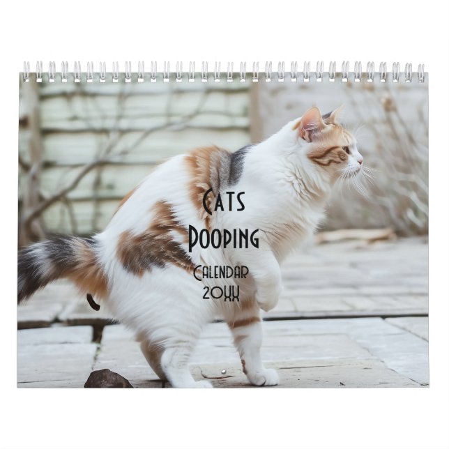 Pooping Cats Calendar 2026 Kalender (Omslag)