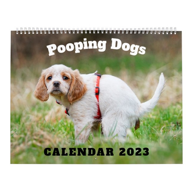 Pooping Hundar Calendar 2023, Funny Dogs Kalender (Omslag)