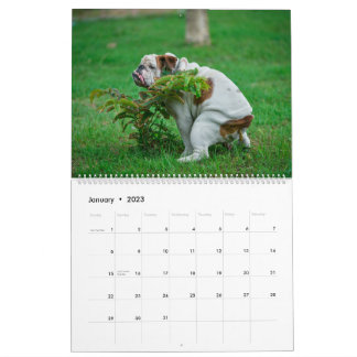 Pooping Hundar Calendar 2023, Funny Dogs Kalender