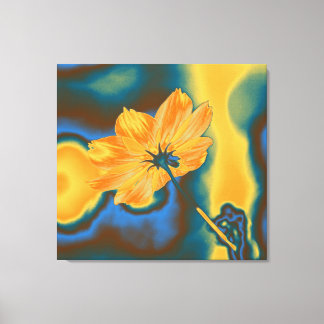 Pop Art Benice Gult Cosmos Flower Canvastryck