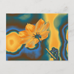 Pop Art Benice Gult Cosmos Flower Vykort