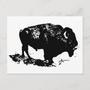 Pop Art Black White Buffalo Bison Silhouette Vykort