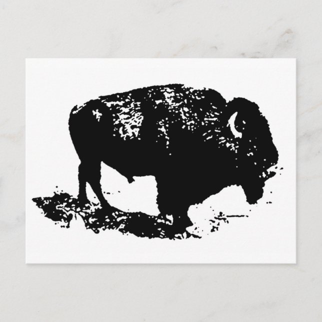 Pop Art Black White Buffalo Bison Silhouette Vykort (Framsida)