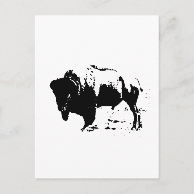 Pop Art Black & White Buffalo Silhouette Vykort (Framsida)